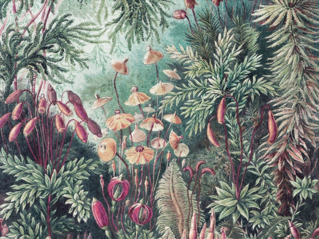 Fairytale – Tapeta na wymiar