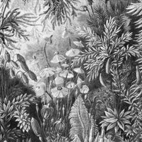 Fairytale B&W – Tapeta na wymiar