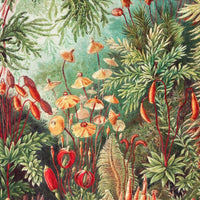 Fairytale Vivid – Tapeta na míru