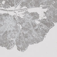 Foglia Dust – Tapeta na wymiar