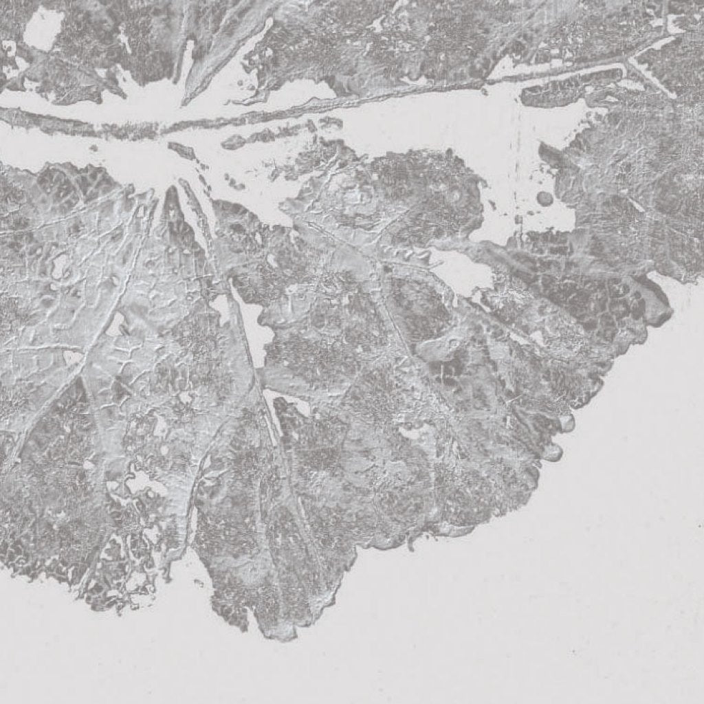 Foglia Dust – Tapeta na míru