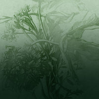 Green Ombre Flower – Tapeta na wymiar