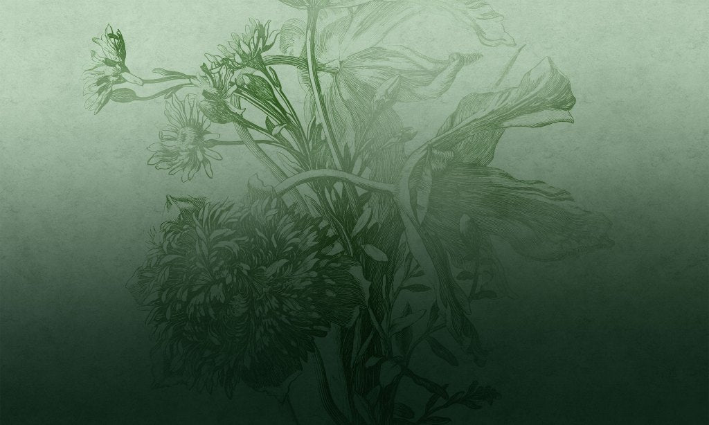 Green Ombre Flower – Tapeta na wymiar