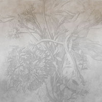 Grey Ombre Flower – Tapeta na wymiar