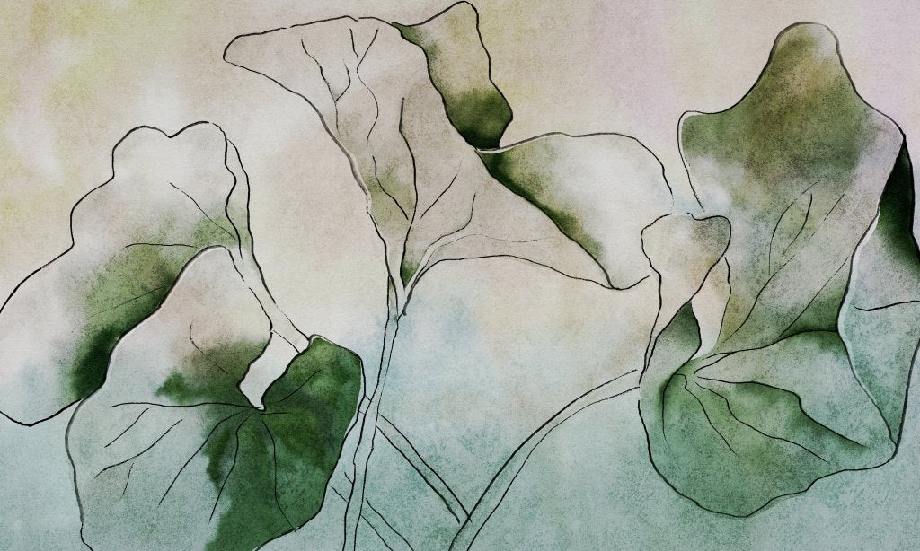 Hasu – Tapeta na wymiar