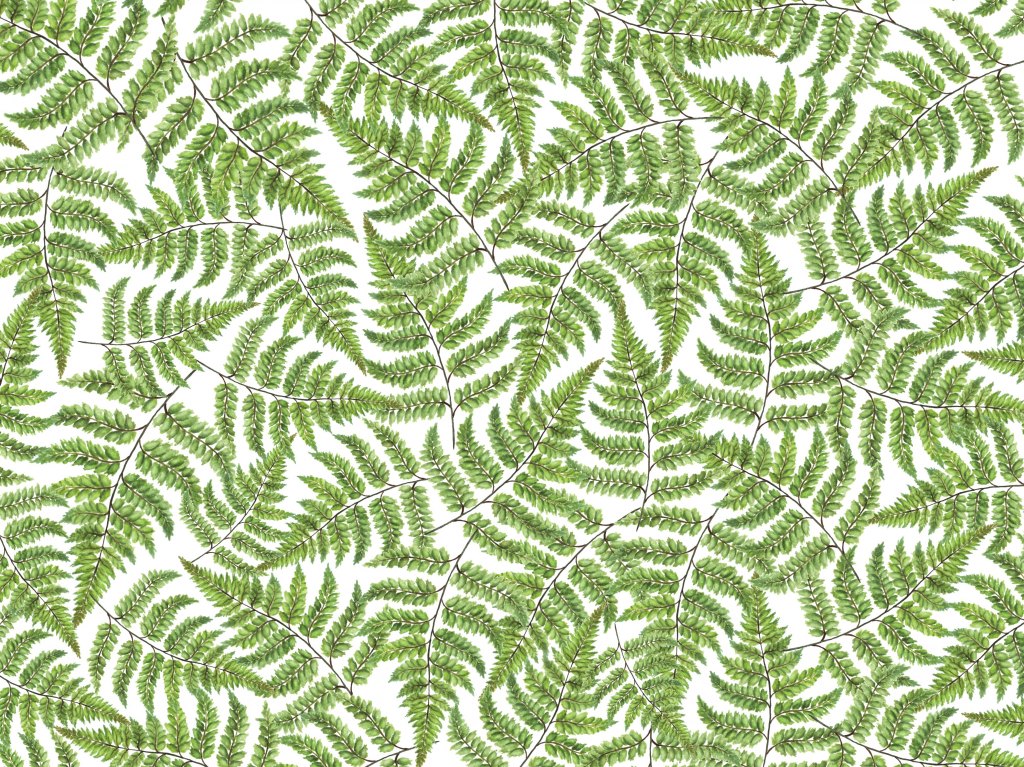 Jurrasic – Custom-made wallpaper