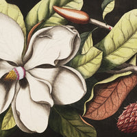 Laurel – Tapeta na wymiar