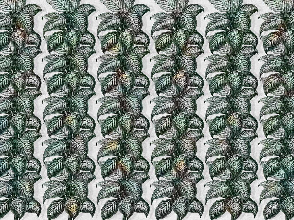 Magnifica Light – Custom-made wallpaper