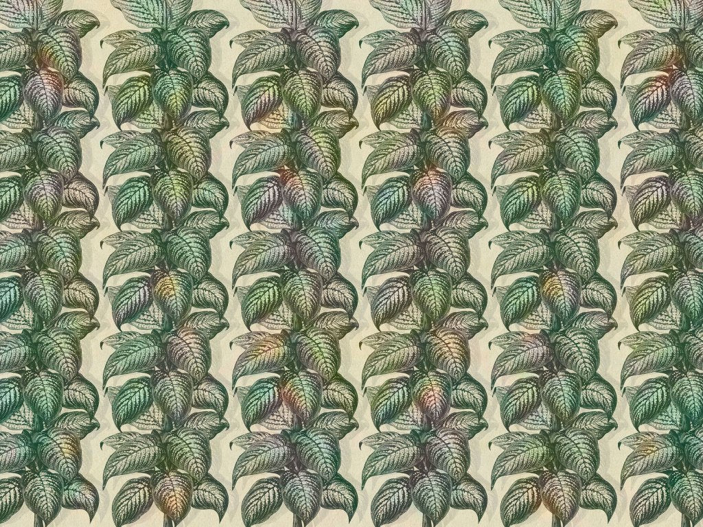 Magnifica Saturated – Tapeta na wymiar