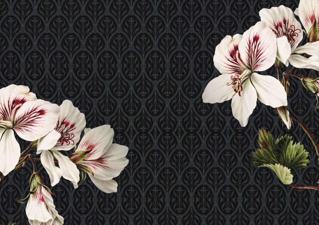 Obsession – Tapeta na wymiar