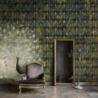 Peacock – Tapeta na wymiar