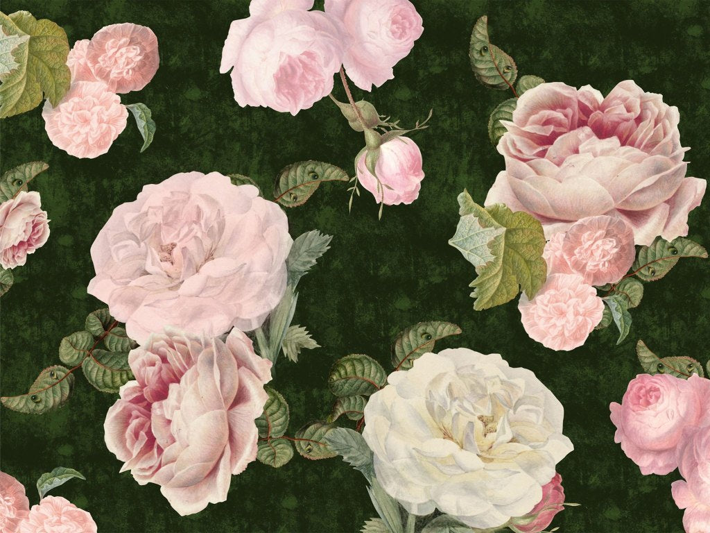 Roses Dark Green – Tapeta na wymiar
