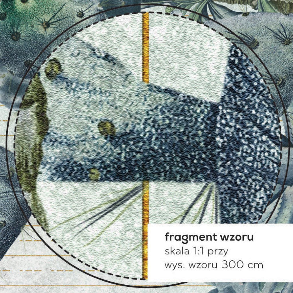 Succulento – Tapeta na wymiar