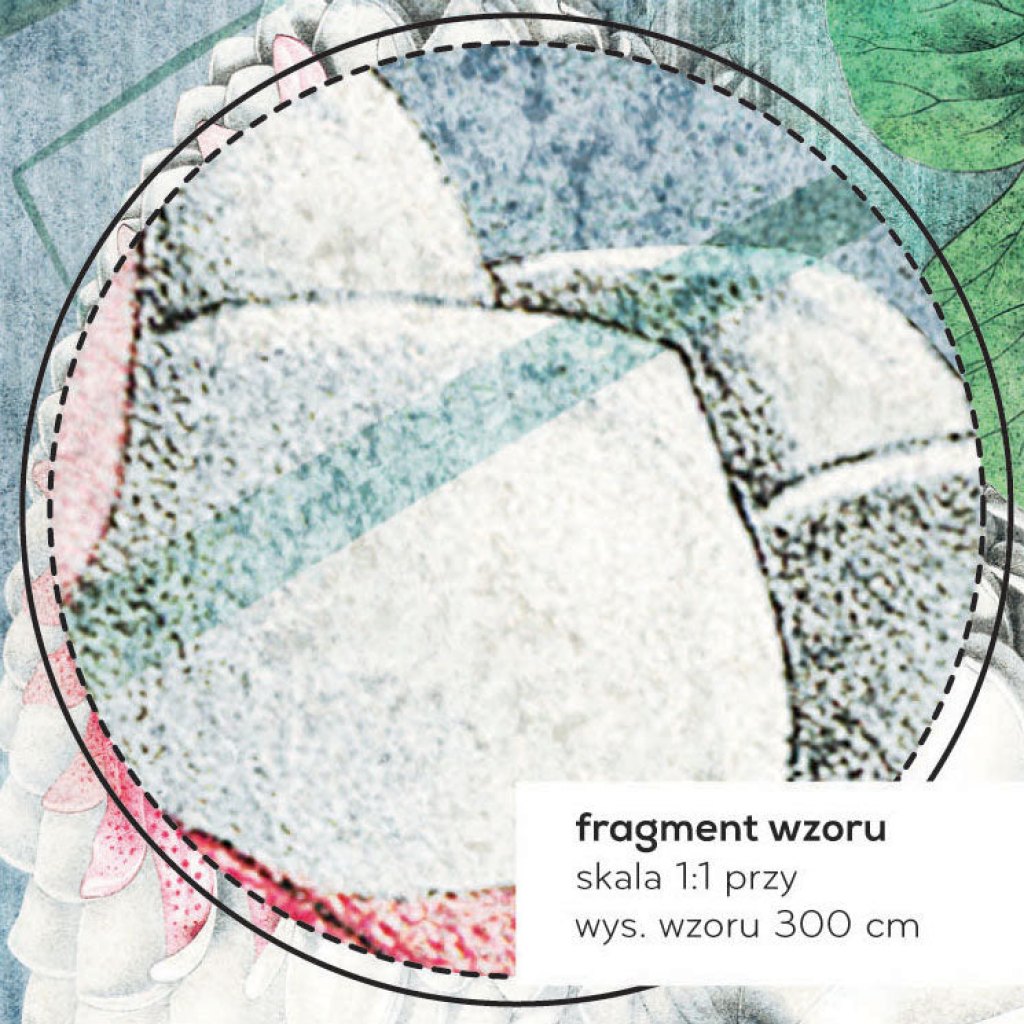 Water Lily – Tapeta na wymiar