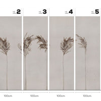 Anticci – Tapeta w rolkach