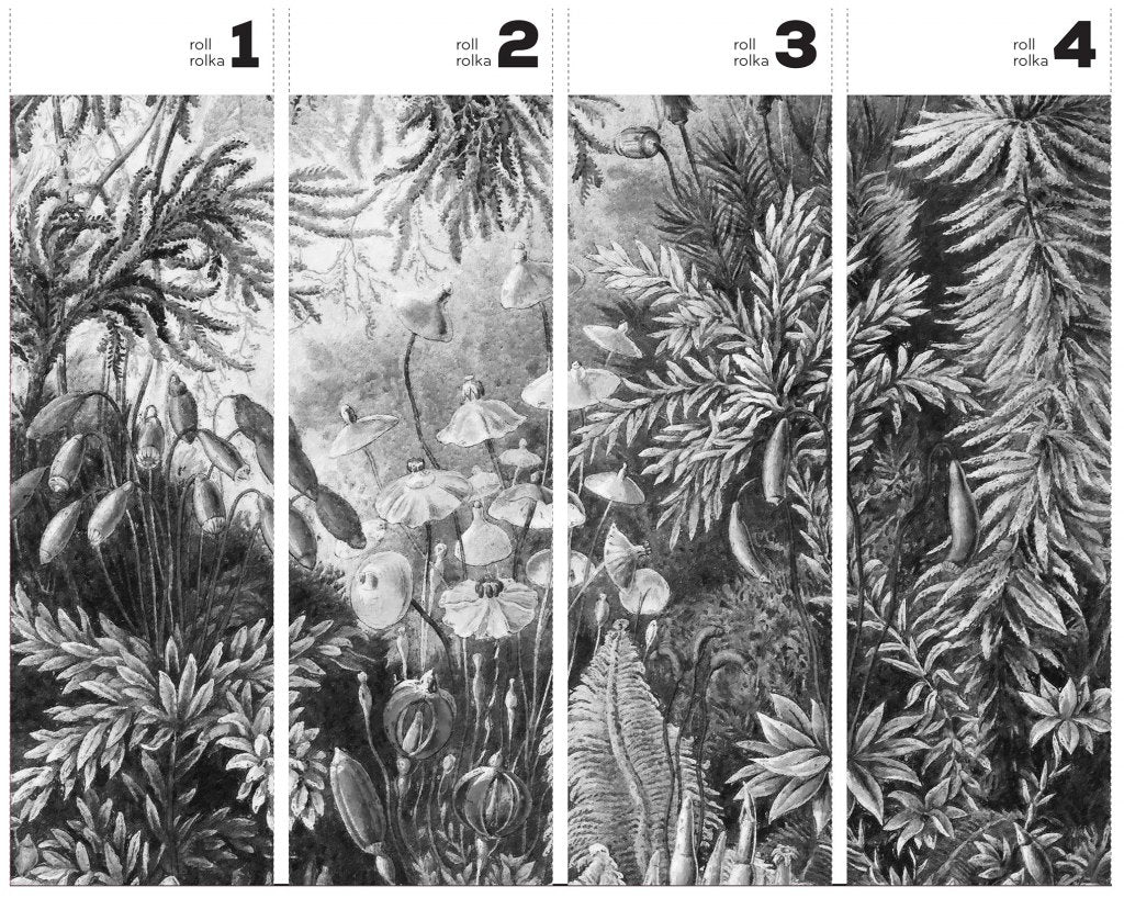 Fairytale B&W – Tapeta w rolkach