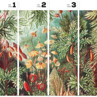 Fairytale Vivid – Tapeta w rolkach