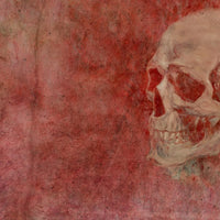 Ghost – Tapeta w rolkach