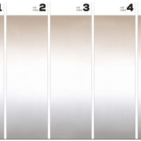 Ombre Grey&Beige – Tapeta w rolkach