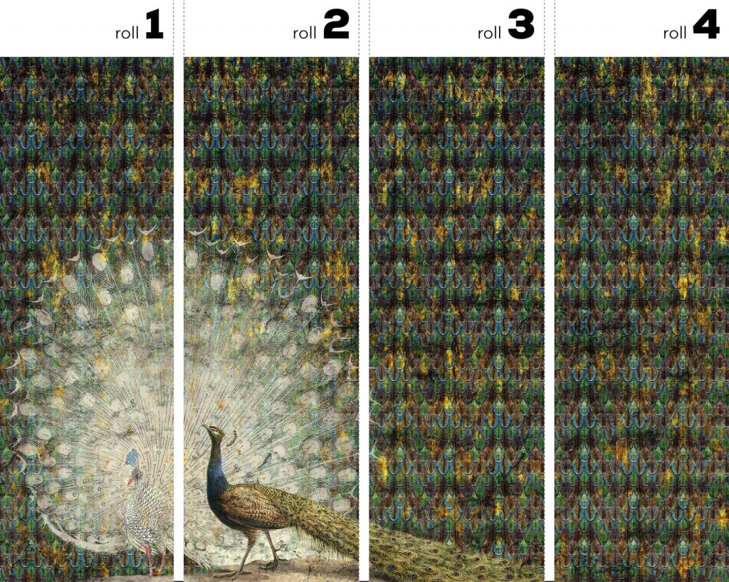 Peacock – Tapeta w rolkach