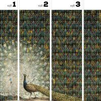 Peacock – Tapeta w rolkach