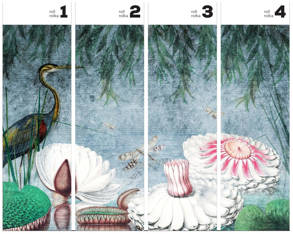 Water Lily – Tapeta w rolkach