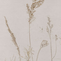 Campo di Avena – Tapeta Łuk Standard