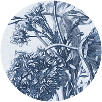 pattern_file