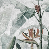 Rainforest – Tapeta Łuk Standard