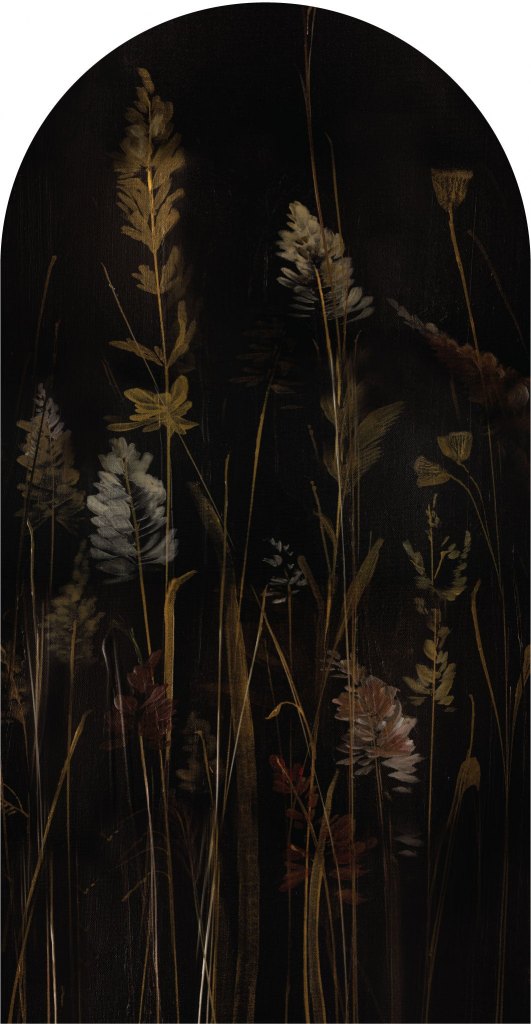 Calamus – Tapeta Łuk Standard