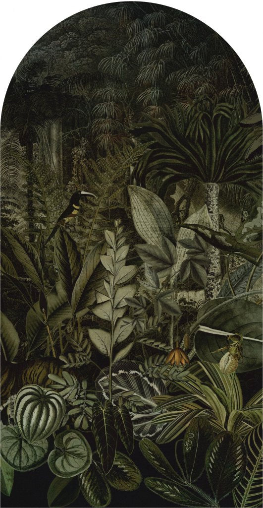 Madagascar – Tapeta Łuk Standard