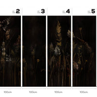 Calamus – Tapeta w rolkach