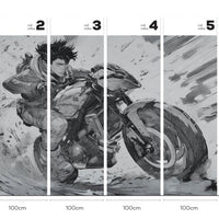 Raida – Tapeta w rolkach