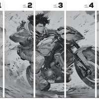 Raida – Tapeta w rolkach