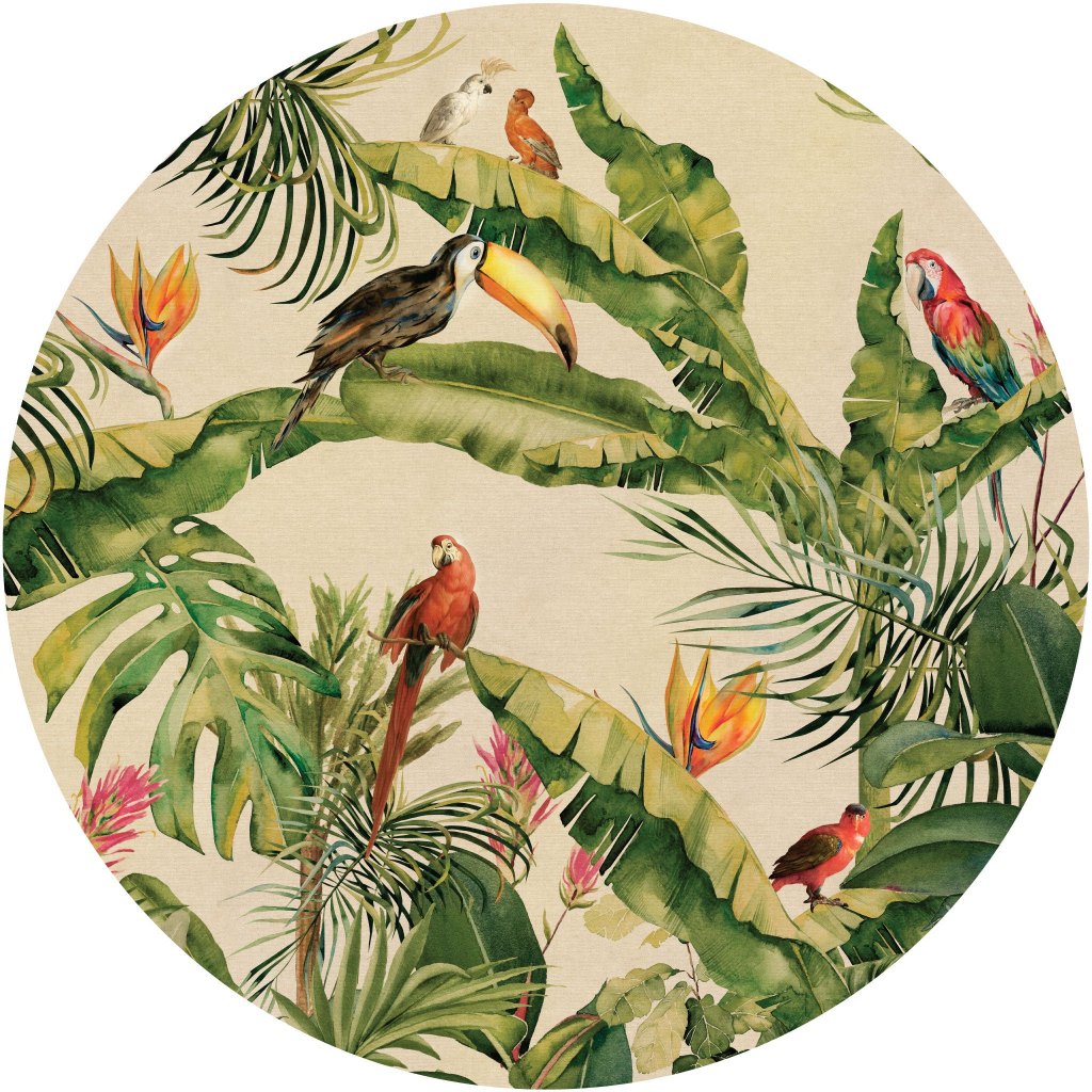 Jungle II – Tapeta Koło Standard