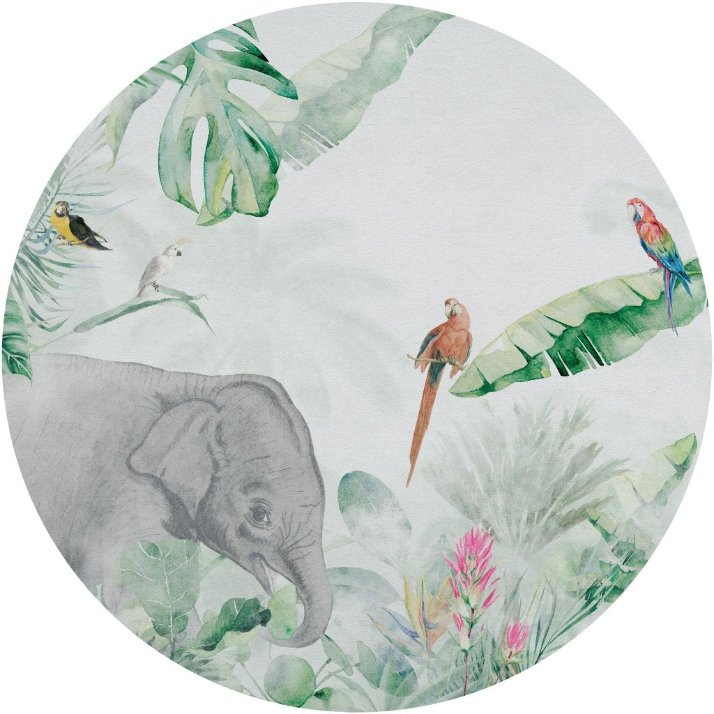 Jungle Vivid I – Tapeta Koło Standard