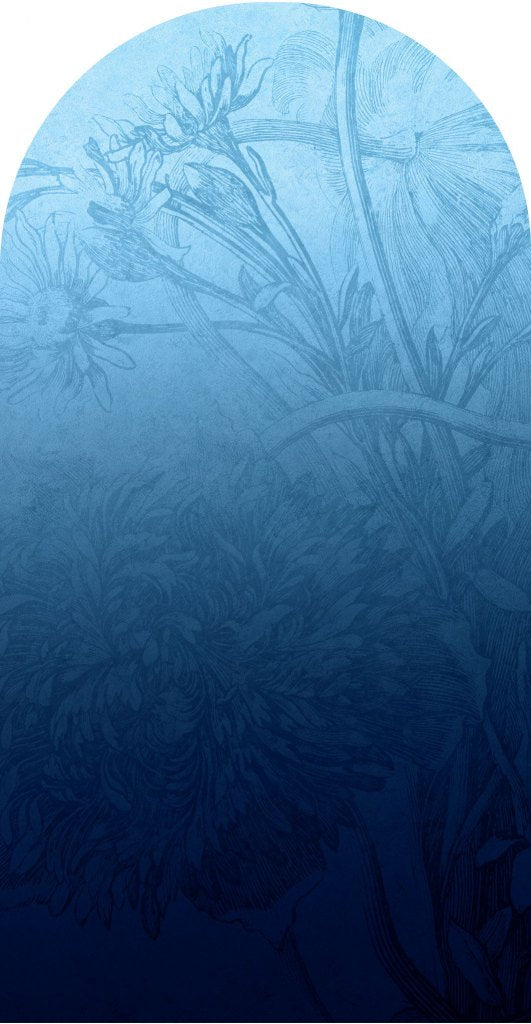 Blue Ombre Flower – Tapeta Łuk Standard