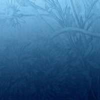 Blue Ombre Flower – Tapeta Łuk Standard