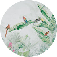 Jungle Vivid II – Tapeta Koło Standard