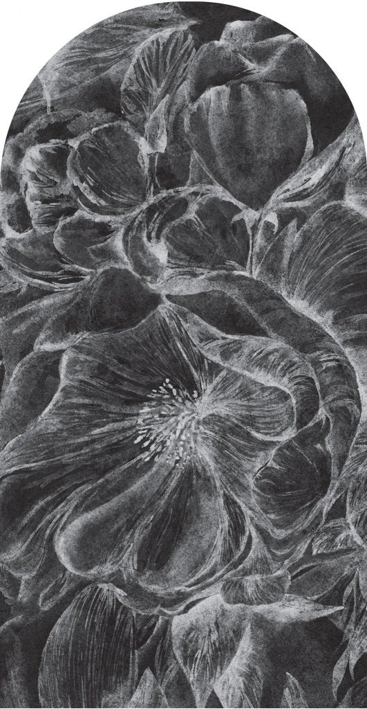 Brassica Dark – Tapeta Łuk Standard