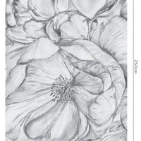 Brassica Light – Tapeta Łuk Standard