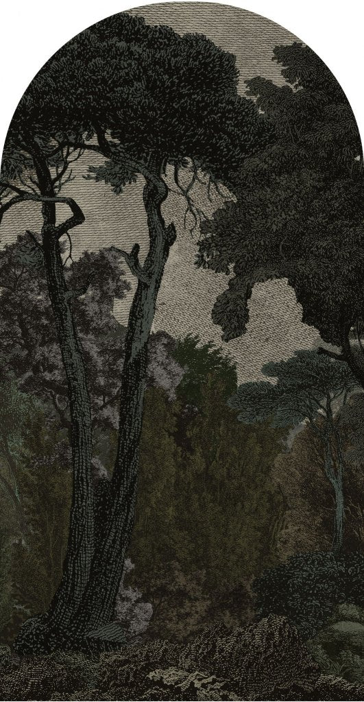 Hood Dark – Tapeta Łuk Standard