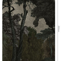 Hood Dark – Tapeta Łuk Standard