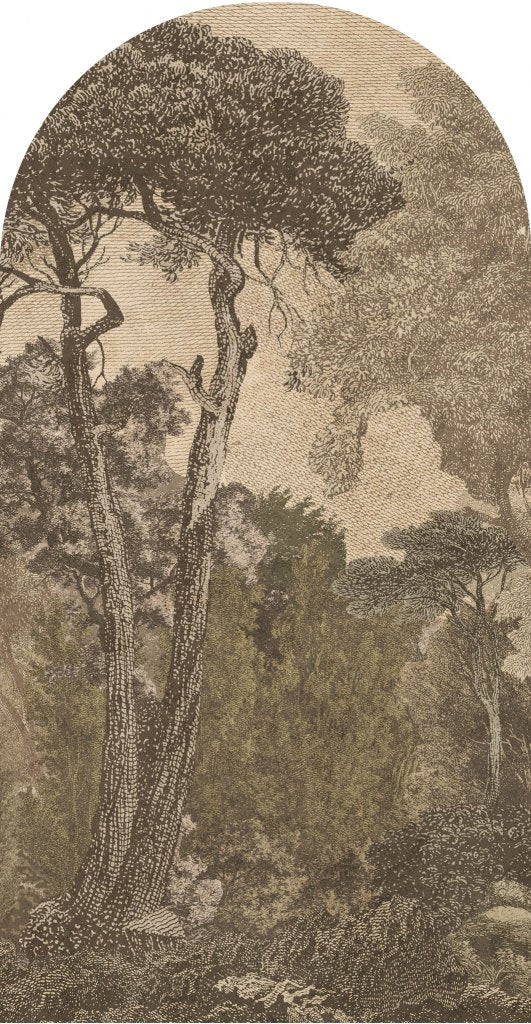 Hood Light – Tapeta Łuk Standard