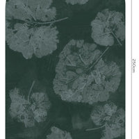 Foglia Sage – Tapeta Łuk Standard