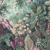 pattern_file