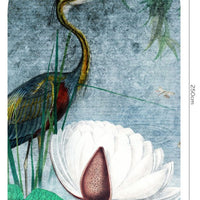 Water Lily – Tapeta Łuk Standard