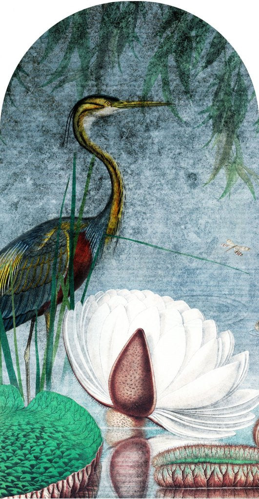 Water Lily – Tapeta Łuk Standard