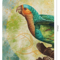 Sierra – Tapeta Łuk Standard