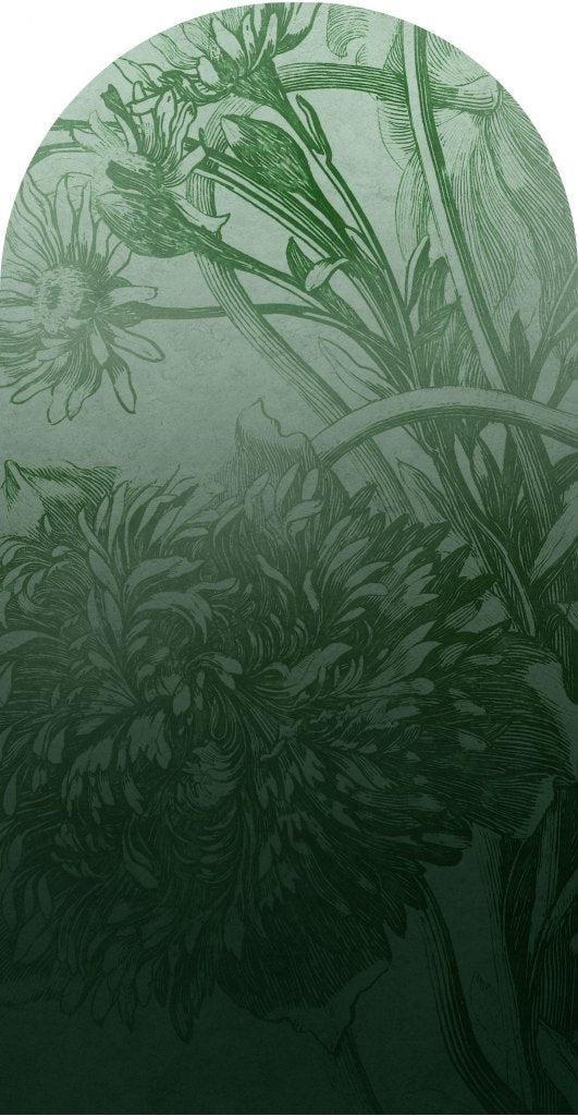 Green Ombre Flower – Tapeta Łuk Standard